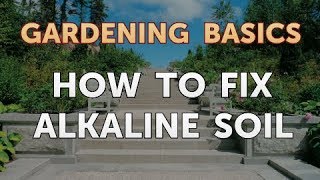 How to Fix Alkaline Soil