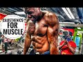 Calisthenics workout for Every Muscle | @Broly Gainz