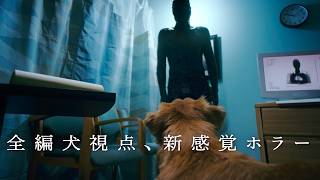 【犬には見えている】飼い主を襲う見えない悪意／映画『GOOD BOY／グッド・ボーイ』予告編