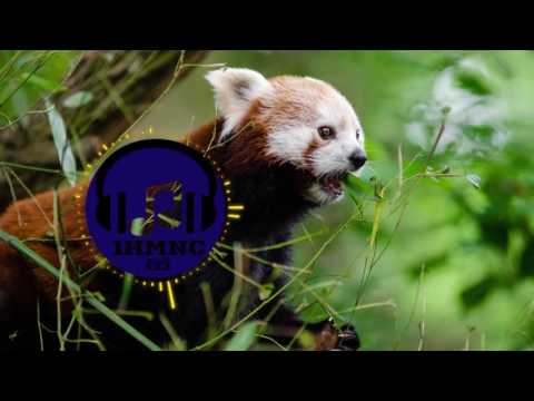 The 126ers - The Bluest Star [Pop] Loop