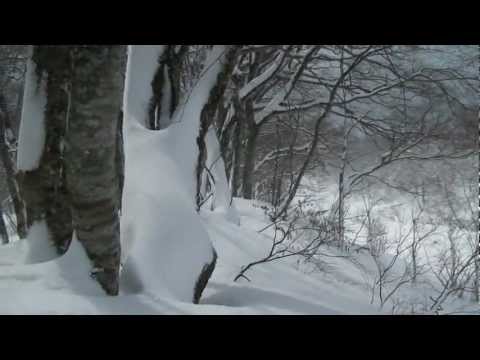 大山登山 2013年2月中旬 大山登山 冬季・一の沢から山頂へ