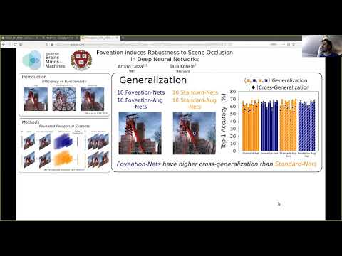 Foveation induces Robustness to Scene Occlusion in Deep Neural Networks