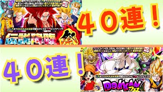 【ドッカンバトル】グローバル後半ガシャダブル４０連！カロリーは特級呪霊！　※マイク調整中