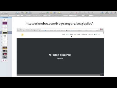 BeaglePilot final report