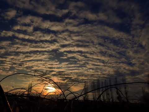 Skinshape - Sua Alma(feat. D'Alma)(Slowed)