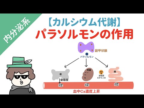 パラコクシジオイデス症