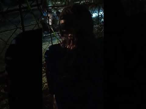 accidente villa del rosario