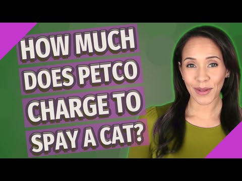 HOW MUCH DOES Petco charge to spay a cat?