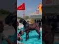 Jogani Maa New Status Trinding Jogani Maa Statusjogani Joganima Viaralshort Newstatus Jogani
