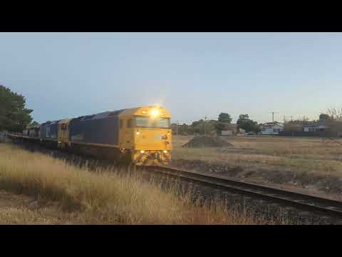 7733V Empty grain from Geelong to Murtoa, 20.15, 8/3/24.