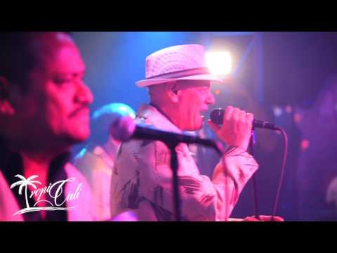 Los Socios Del Ritmo-Lero Lero en vivo desde ViVe Night Club 2017