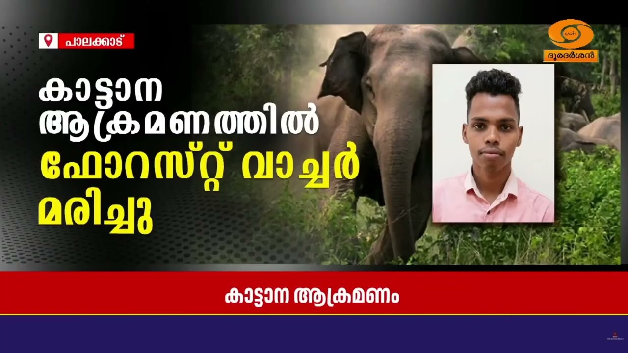 പാലക്കാട് മണ്ണാർക്കാട് തിരുവിഴാംകുന്നിൽ കാട്ടാന ആ?