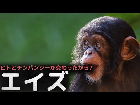 ヒト免疫不全ウイルスの起源 - 定義