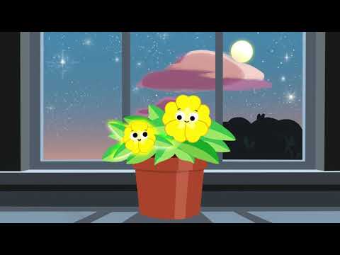 christina perri - la la lu (for elvis) [visualizer]