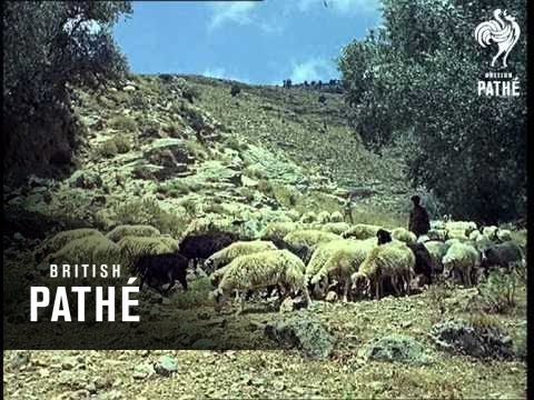 Out Takes / Cuts From Cp 474 - Crete (1964)