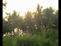 Kathiravanai Parthu By Media Net