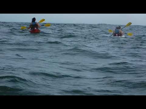 5 28 18 DOLPHIN ADVENTURE MON 9 AM 2