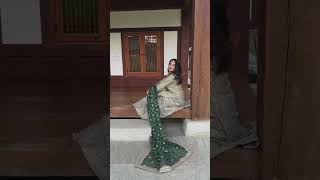 Frost Blue Embellished Bridal Paneled Lehenga - Video 2