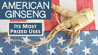 What is American Ginseng? Most Prized Uses | How It
