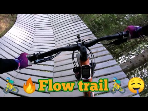 Magic Moose | Trysil Bike Arena