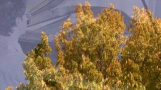 Pursuit of Perfection. Pursuit of Beauty