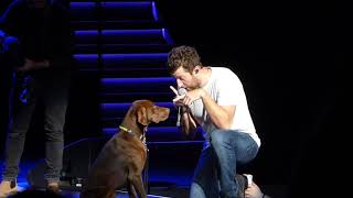 Brett Eldredge brings Edgar on Stage, Jacksonville, FL 10/20/2018