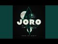 Joro (Sped Up)