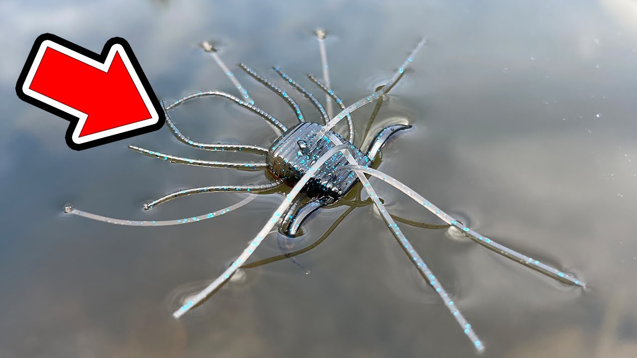 【バス釣り】1WAY HYBRIDのインプレ!!サイコロラバーと比べた結果、使い方・使用感でわかった事をまとめてみた【RAID JAPAN 2024 新製品】[新製品動画]