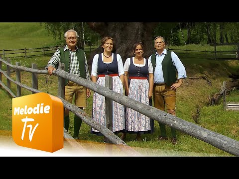 Kärntner Viergesang - Am Bachlan (Offizielles Musikvideo)