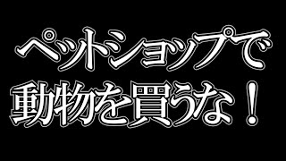 - 【ひろゆき】僕はペットショップで動物を飼う人間は●●だと思ってみています。ペットショップで動物を狩ってはいけない理由。【切り抜き】