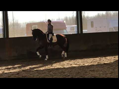 I.P.S Hilton (Bon Bravour x Jazz x Poetin) feb 2018