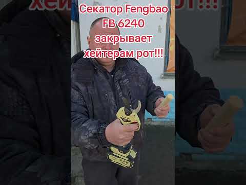 фото секатор fengbao fb 6240 аккумуляторный 0