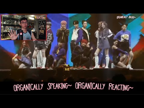 LAPILLUS x TFN - 'Wow BB' LIVE COLLAB | AAA 2022 Japan (Organic Reaction)