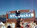 NYC Ducks Tour