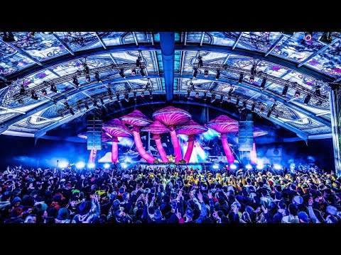 Tomorrowland Mix 2025 - Dimitri Vegas, Afrojack, NERVO, MANDY - Best Songs, Remixes & Mashups