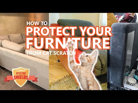 How to protect your couch from cat scratch. The best product to stop cats from scratching furniture.