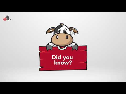 Update your preferences in your web account - 2023