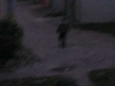 Prikolas - sunki diena