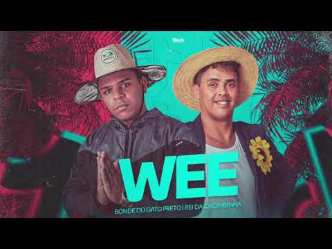 🔵 BONDE DO GATO PRETO E REI DA CACIMBINHA - WEE MEME