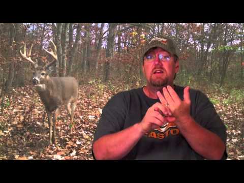 Doe Harvest Strategy