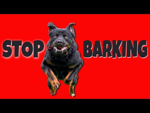 Ultrasonic Sound to Stop Dog Barking | DOG SILENCER