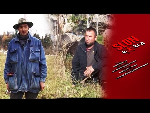 Najava - Agro kutak - Ovčarstvo na rubu propasti 22.11.2016.