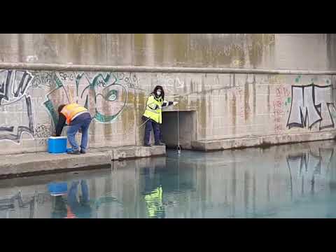 Savona, sversamento di una sostanza blu alla foce del Letimbro: Arpal al lavoro