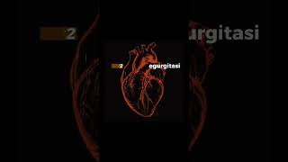 Download lagu Bunyi Jantung Abnormal mp3