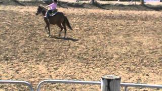 Alley Cat/Emerson 9/2/2012