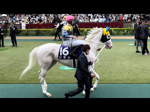 【ヴィクトリアマイル2023】久々のレースと大勢のファンにテンション上がり気味の女優ソダシ😳