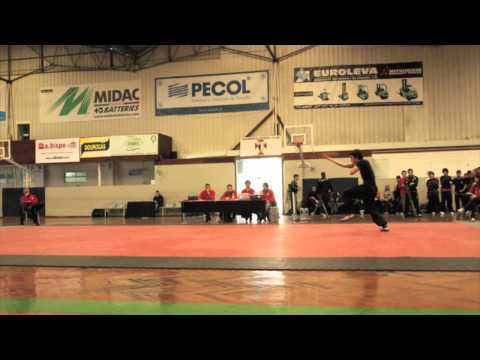 Dragon Tiger Kung Fu Cup 2011