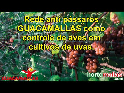, title : 'Rede anti pássaros GUACAMALLAS como controle de aves em cultivos de uvas.'