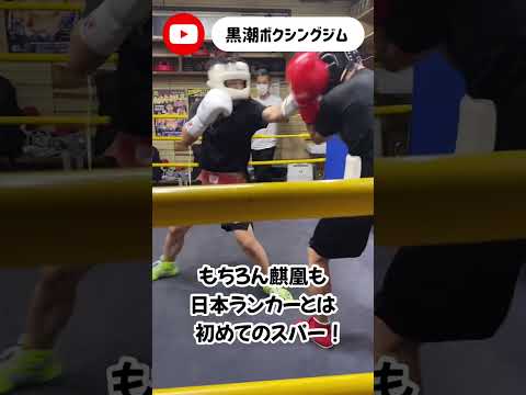 【スパーリング】大阪のオールジムから日本ランカー岩﨑圭佑選手が来てくれた！4回戦ボーイに練習つけてもらいました！おおきに（笑）