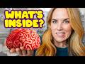 BRAIN DISSECTION What Makes Us Smart HALLOWEEN SCIENCE With Maddie Moate